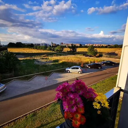 Teo Brasov