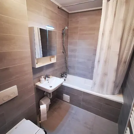 Teo Apartment Brasov